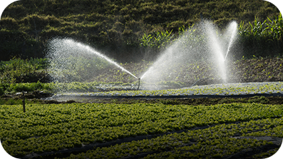 Petroleum and Oil Drilling